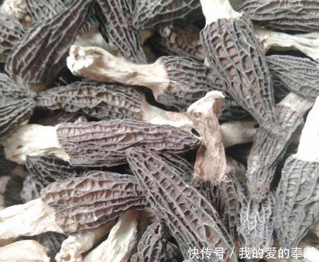  人工种植@它被称“陆地鱼”，生命力很顽强？只是太过珍贵，市场