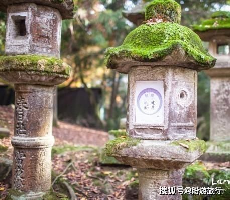  「祈福的灯笼」DAY2日本深度自由行之大阪都门奈良城崎旅行日记