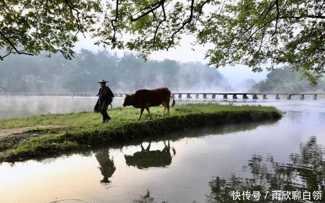 王维笔下最诗意的田园，10个字的唐诗中，有我们回不去的童年