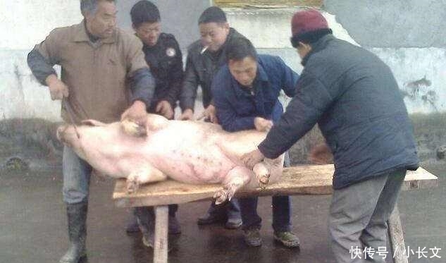  农村|农村这4个工作, 前几年农民争着干, 近两年却无人问津! 早