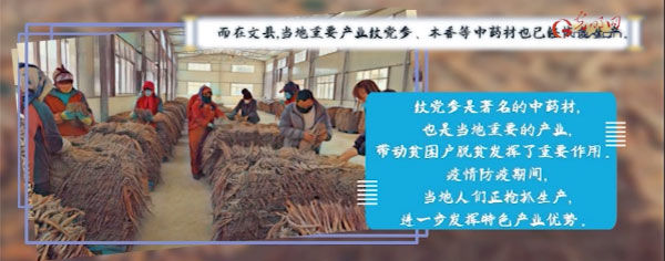  [春光]战疫故事“绘”丨战疫情不负春光 脱贫一线播撒希望