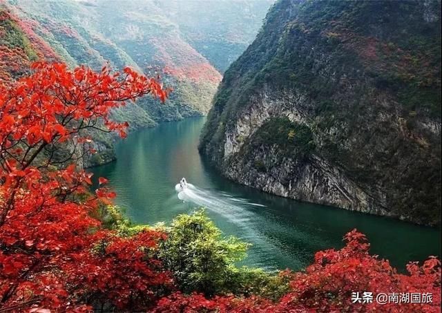 重庆又火了，这次还是因为一部电影