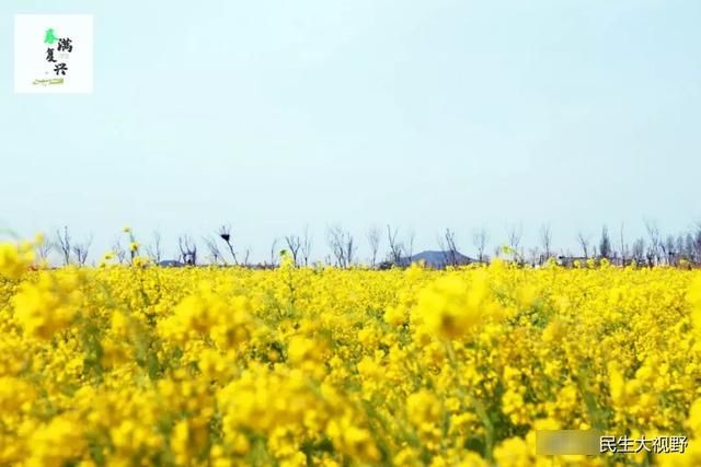  「复兴」映像旅发：春游复兴掠影