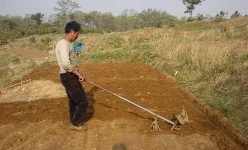 2019年农村土地征收补贴出炉了，一亩地拿多少钱，给你算一下