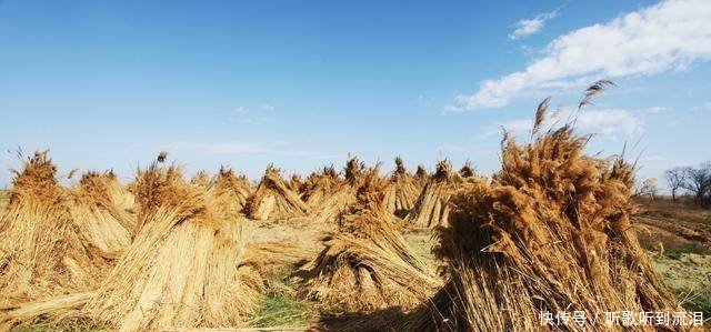 农村老话“正月打雷，遍地是贼”，这句话啥意思
