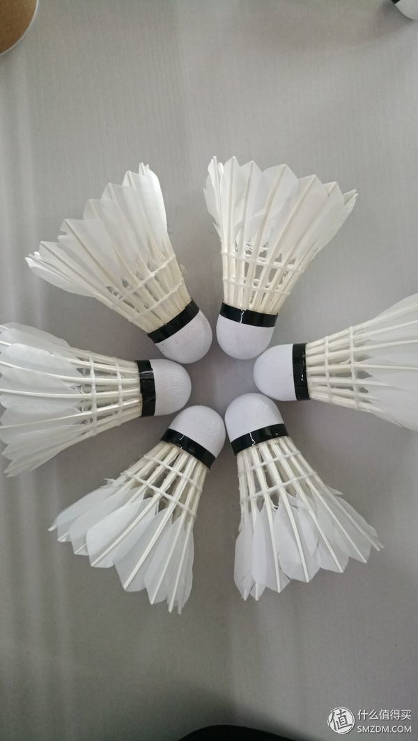 两款低价羽毛球的详细对比!