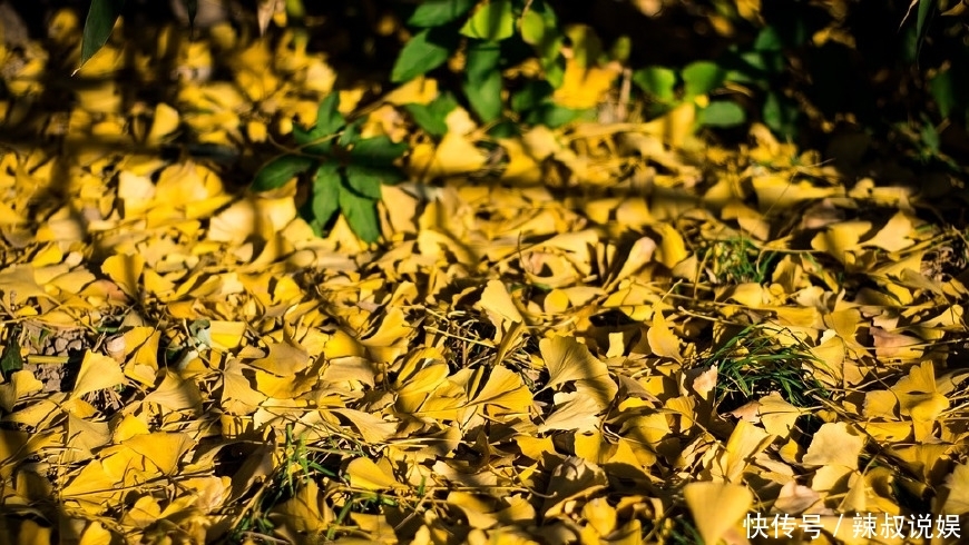 来北京只到故宫不到这,你会损失不少东西,门票只有2元!