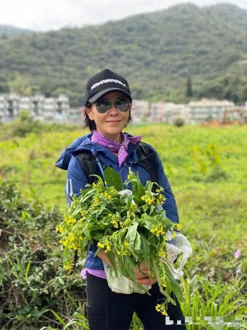  『生活』刘嘉玲外出爬山健康生活，偶遇菜农合照买有机蔬菜心情大好