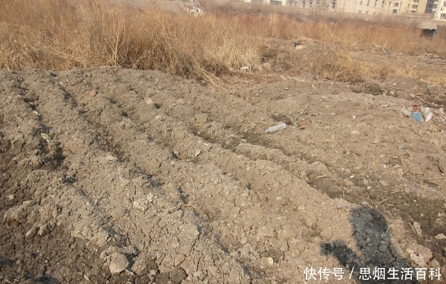  「农村自建房」农村自建房为什么要用白石灰？了解白石灰，建筑