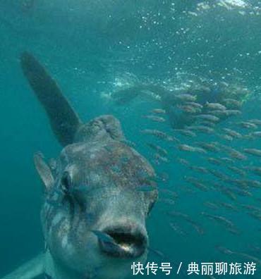 传说中国出现的7位神秘水怪