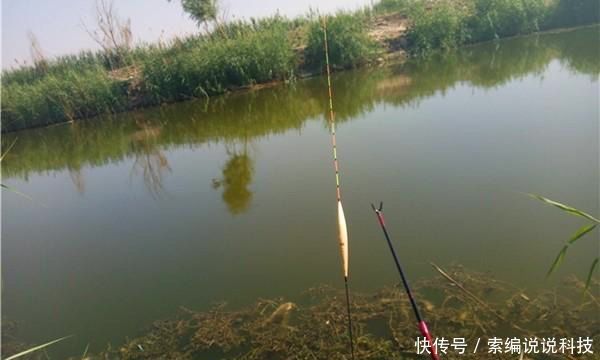  『选用』野钓浮漂的选用和调漂原则，能否连竿上鱼，跟调漂关系很大！
