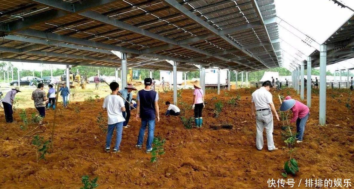 农村创业有前景的五个行业，农民都能做，一年收入10万不是问题