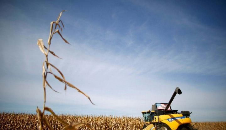 为什么美国人宁愿赔钱, 也要出口大量粮食到中国?