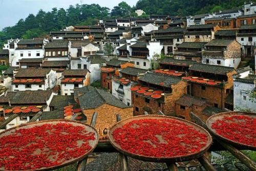  学历@中国“学历”最高的县城：诞生400名博士，是才子之乡！