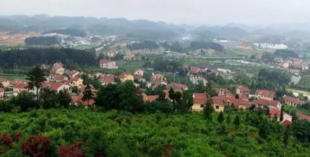 国务院规划 ，敲定乡村振兴战略五年“施工图”