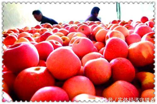  「明年」去年吃不起的苹果，今年滞销果园，明年猪肉会这样吗？