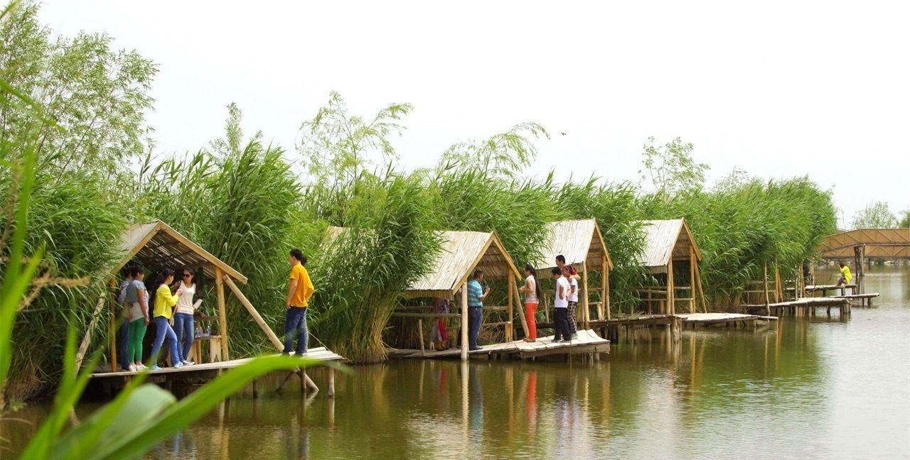 我国最大的内陆淡水湖，十年间减少一半，有“瀚海明珠”之称