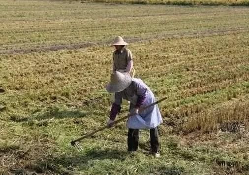 农民2018年土地确权后，20岁以下没有土地的人怎么办？