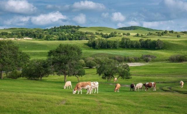 国内草原排行榜 中国草原景点最顶级的有哪些
