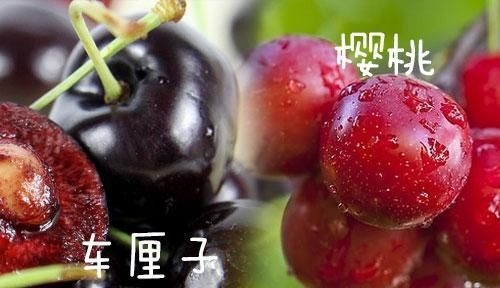  摆在：美食界中的“双胞胎”,把它们都摆在一起,你能分清谁和谁吗?