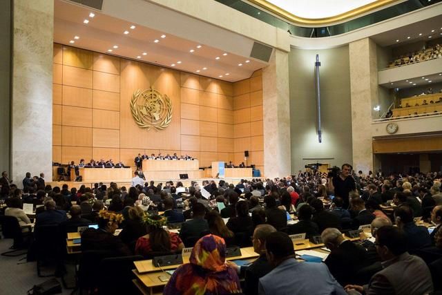  #世卫组织#100万就想买来“主权”？刚刚，这个国际组织给台当局