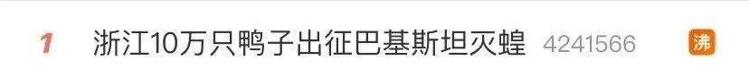  「出征」10万只鸭子出征灭蝗，在线翻车了？