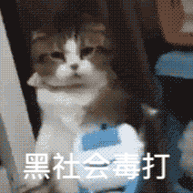  『限时折扣』100+的千元精华平替，成分党看了心跳加速！