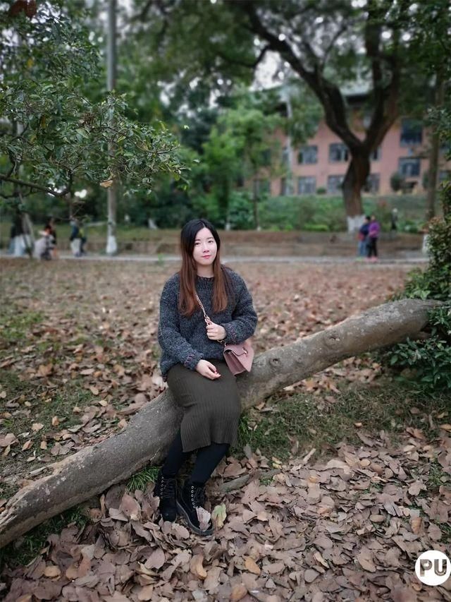 靓！佛山周边1500株樱花已盛开，最美的春天在这里~