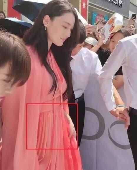 双喜临门:领证后张馨予确认怀孕,送走爱犬安心养胎,坐实传言