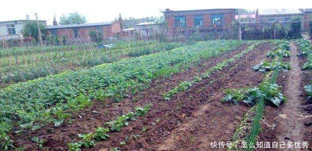 无地农民看过来，2027年能否重新分得土地终于有答案了！