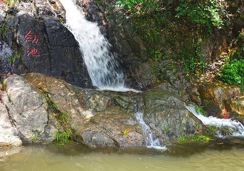 如果想要在莫干山自由行，那么就先参考这篇攻略吧