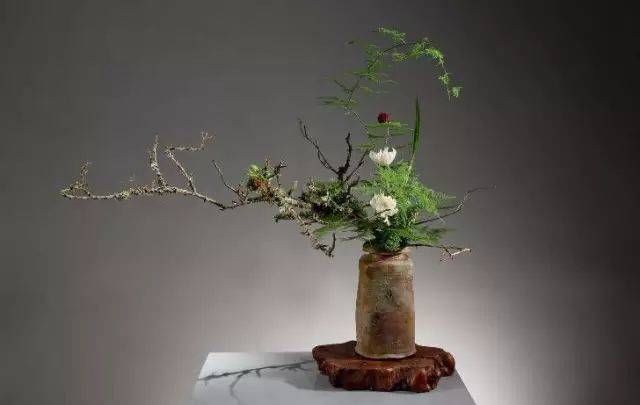  「植物叶片」切叶 | 插花造型艺术中的配角！