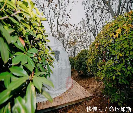 园博园星空帐篷露营