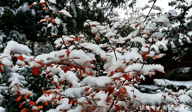 9张照片告诉你雪后的故宫和景山有多美!