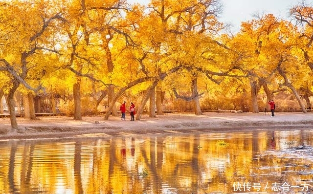 九月,最美的秋天在哪里?这些地方的金秋光景已经按捺不住了!