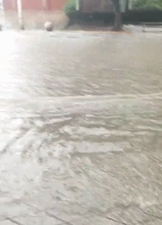 河北再发暴雨预警！多地“看海”，防汛应急响应启动