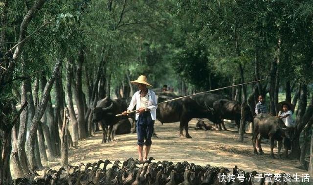 高清老照片80年代初的中国，有些场景已消失有些场景让人难忘