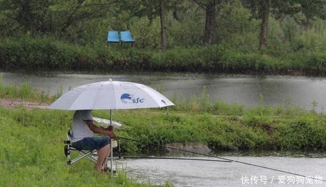 水域的水温■春雨过后好钓鱼!为什么大雨、暴雨后没口呢原因就在这4方面
