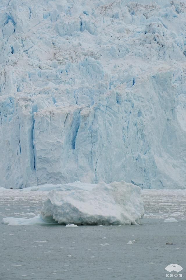中国小伙北极之旅，入住2000多一晚的当地酒店，鲸鱼肉竟放路边卖