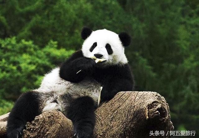 四川计划2020年开通一条高速，全长172公里，有你家乡吗？