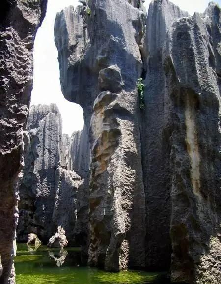 这20个世界罕见奇观都在中国 去过算白赚！