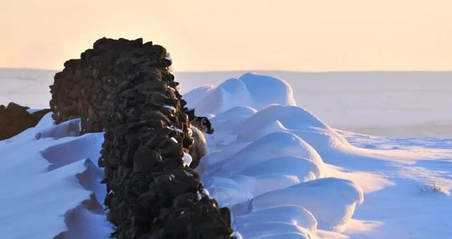 怎么样拍摄冰雪？15种拍摄冰雪的曝光与用光技巧送上