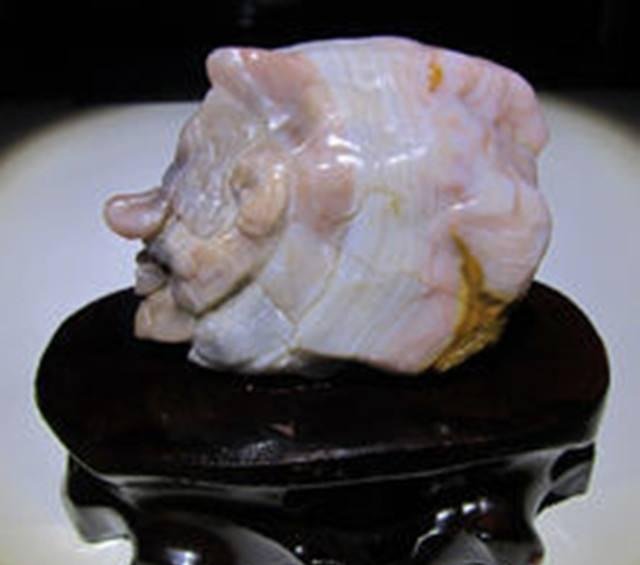  肉石@肉石原来这么值钱, 农民捡到三块, 赚了180万!