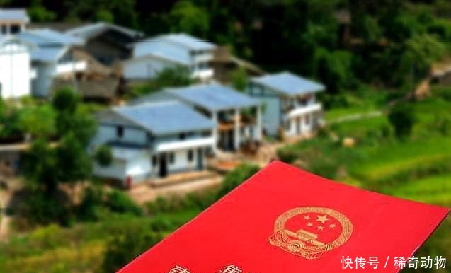 父母是农村户口，儿女是城镇户口，土地房屋该如何确权