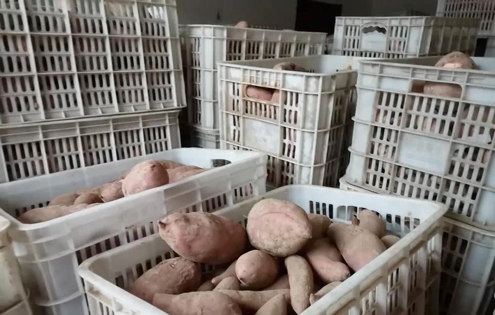  眼神：30万斤找不到销路，已扔掉上万斤烂果，无助的眼神让人想