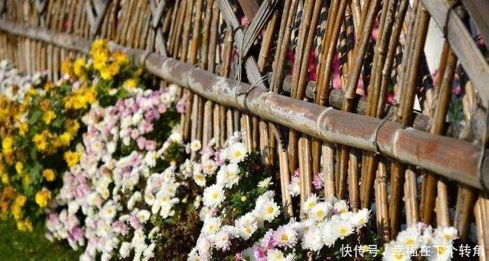  「快乐」篱笆小院住在乡村的快乐，你想体验吗！