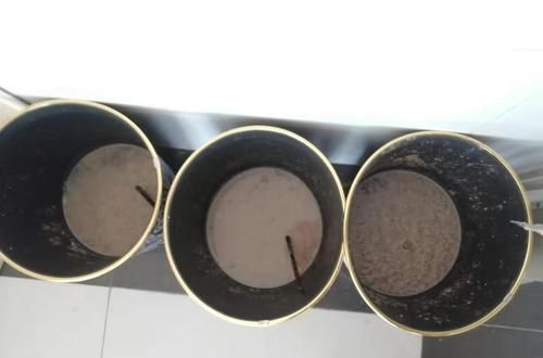  邻居：养花大爷发酵有机肥熏翻了邻居，如何安静的发酵好一缸有机肥？