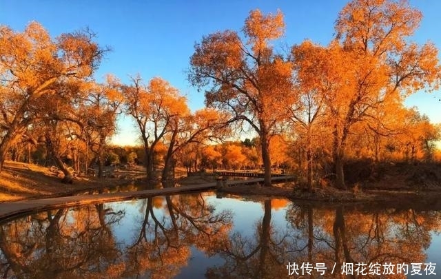 9月来袭！彩林红叶齐绽放，快让国内这6个地方承包整个秋天