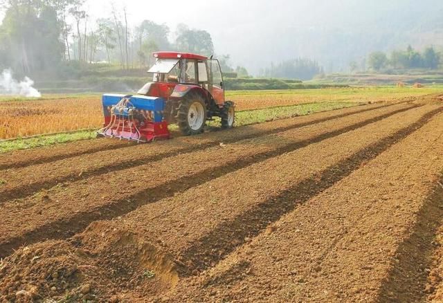 清理“空壳社”第三个月！全国出现同一难点：国家发的补贴咋办？