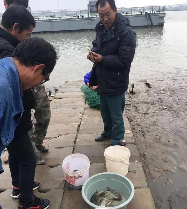  [禁捕]长江当禁捕！捕上来的螃蟹比蜘蛛大不了多少